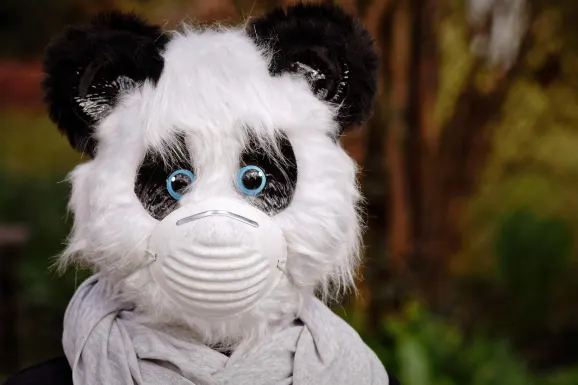 SlotsWin Casino Ondersteuning